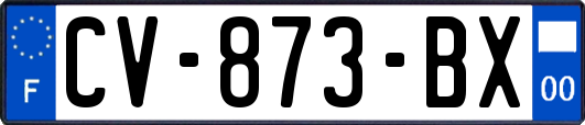 CV-873-BX