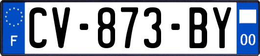 CV-873-BY
