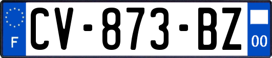 CV-873-BZ