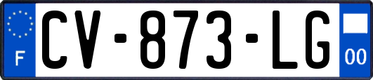 CV-873-LG