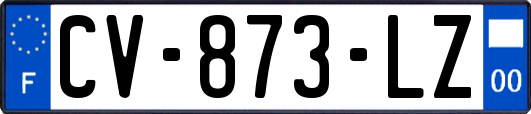 CV-873-LZ