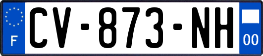 CV-873-NH