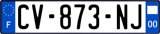 CV-873-NJ