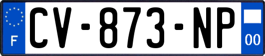 CV-873-NP