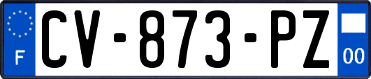 CV-873-PZ