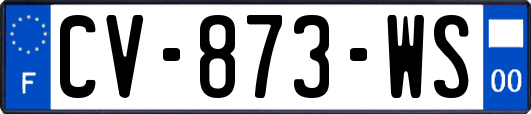 CV-873-WS