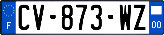 CV-873-WZ