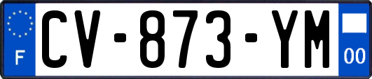 CV-873-YM