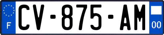 CV-875-AM