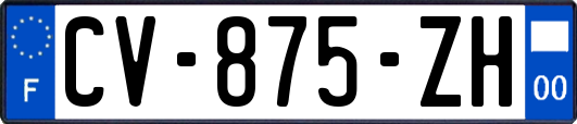 CV-875-ZH