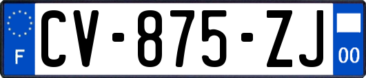 CV-875-ZJ