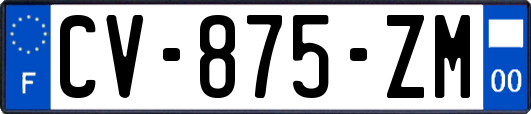 CV-875-ZM