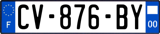 CV-876-BY
