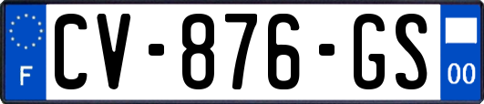 CV-876-GS