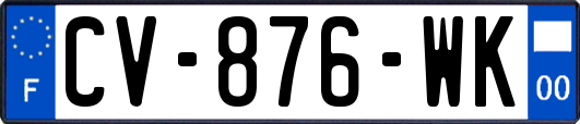CV-876-WK