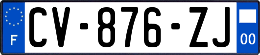 CV-876-ZJ