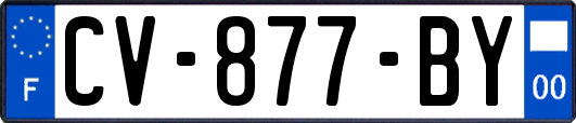 CV-877-BY