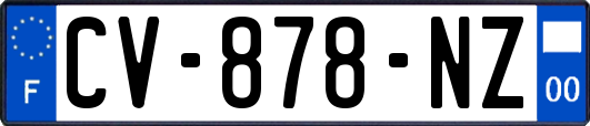 CV-878-NZ