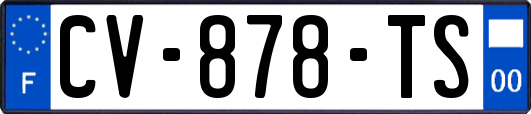 CV-878-TS