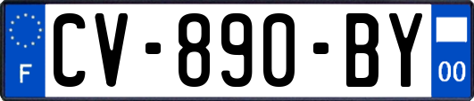 CV-890-BY