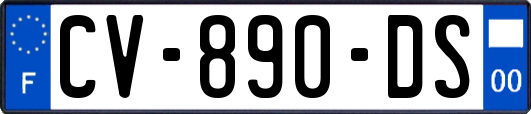 CV-890-DS