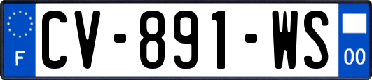 CV-891-WS