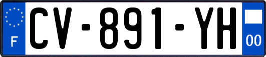 CV-891-YH