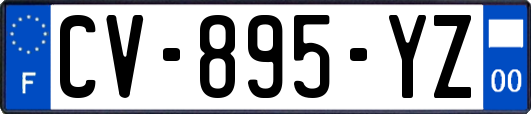 CV-895-YZ