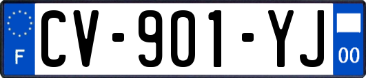 CV-901-YJ