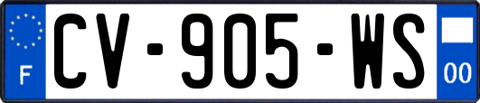 CV-905-WS