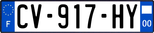 CV-917-HY