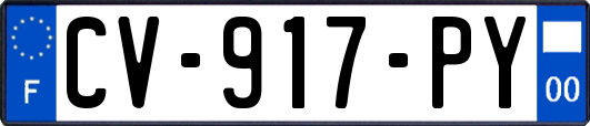 CV-917-PY