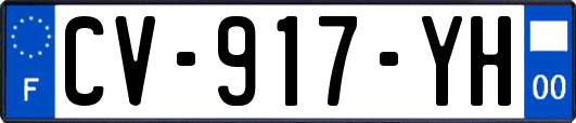 CV-917-YH