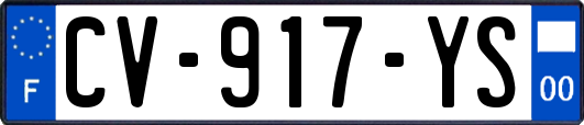 CV-917-YS