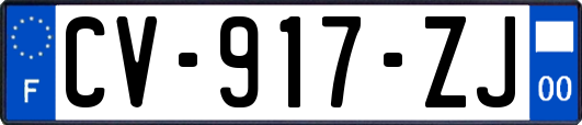 CV-917-ZJ