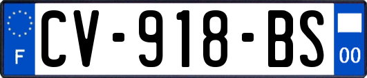 CV-918-BS