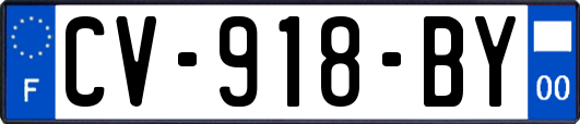 CV-918-BY