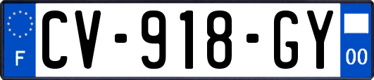 CV-918-GY