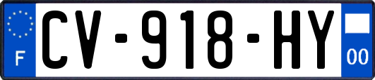 CV-918-HY