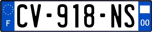 CV-918-NS