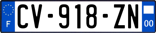 CV-918-ZN