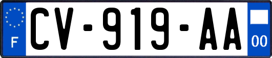 CV-919-AA