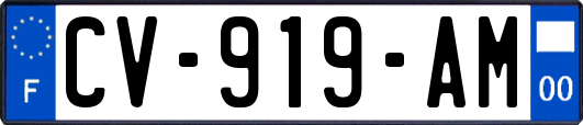 CV-919-AM