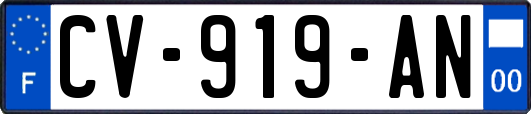 CV-919-AN