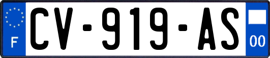 CV-919-AS