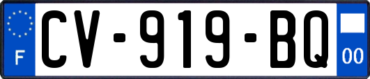 CV-919-BQ