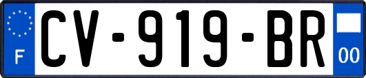 CV-919-BR