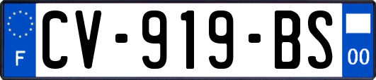 CV-919-BS
