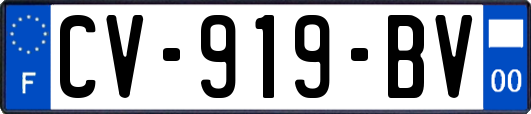 CV-919-BV