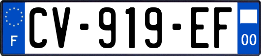 CV-919-EF